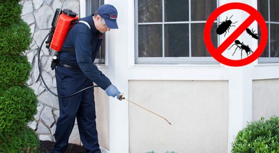Sincik Kemirgen İlaçlama böcek ilaçlama ve haşere kontrolü — ilaclama-tr.com
